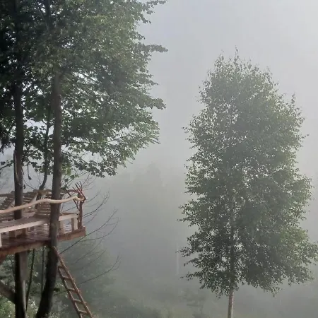 Panoramic Escape